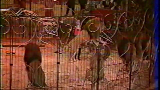 18 Фестиваль в Монте Карло. 18 Festival Du Cirque De MonteCarlo смотреть онлайн