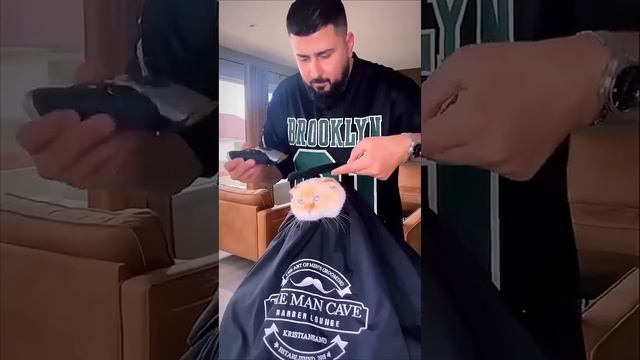 funnybatber ??salon video #hairstyle #hairstyled #fadehair #barber #trending #shorts #viral смотреть онлайн