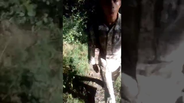 Жизнь койота в армии смотреть онлайн