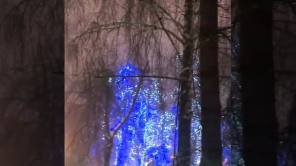 Артем Зубаиров