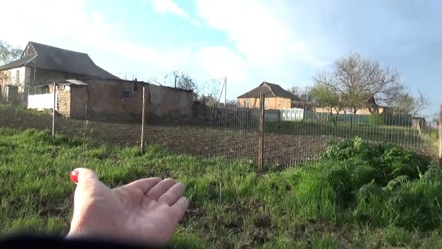 борьба с пыреем, Плановый Обход огорода, Шаповаловы влог, 6 05 смотреть онлайн