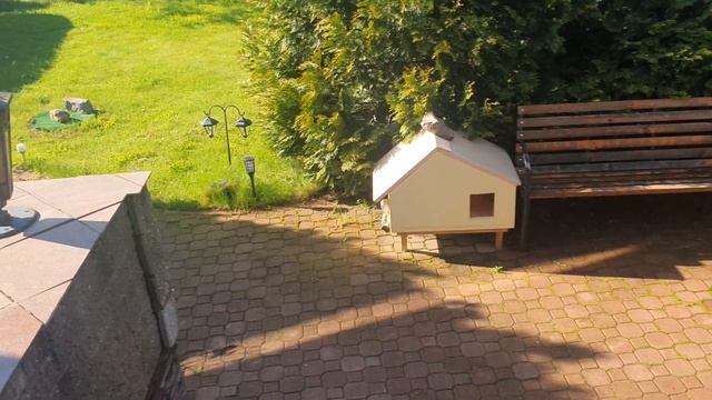 КОТОБЛОГ смотреть онлайн