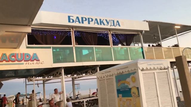 СОЧИ.ИЩЕМ БЕЗЛЮДНЫЙ ПЛЯЖ! ПЛЯЖ ЧКАЛОВСКИЙ И ОКЕАН ШАШЛЫКА! смотреть онлайн