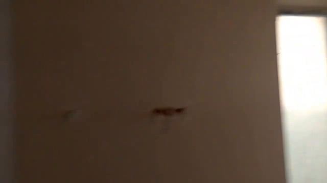 Самый быстрый способ штукатурки