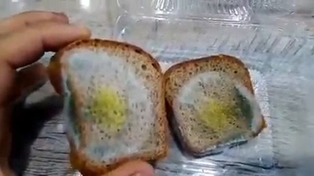 Плесень на бездрожжевом био хлебе. смотреть онлайн