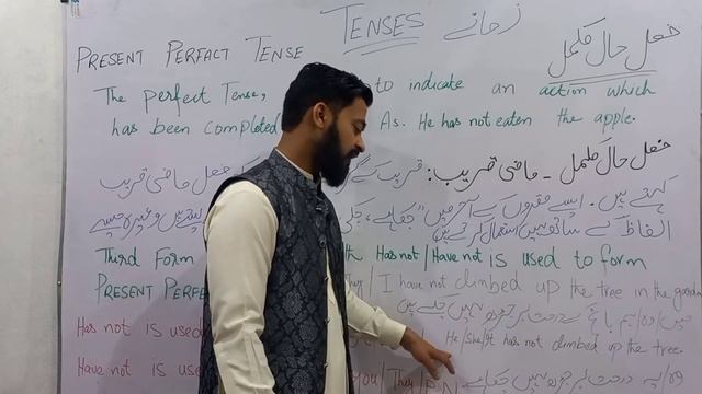 Present Perfect Tense In The form of Negative Sentences смотреть онлайн