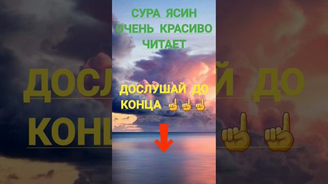 Сура 36 Ясин #islam #koran #muslim #рекомендации смотреть онлайн