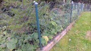 ПРУД МОЕЙ МЕЧТЫ. Показываю как обустроил пруд для разведения рыбы своими руками. Мой пруд на участк