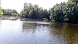Чардым. Прогулка по Волге и протокам . Рыбалка в Саратовской области.