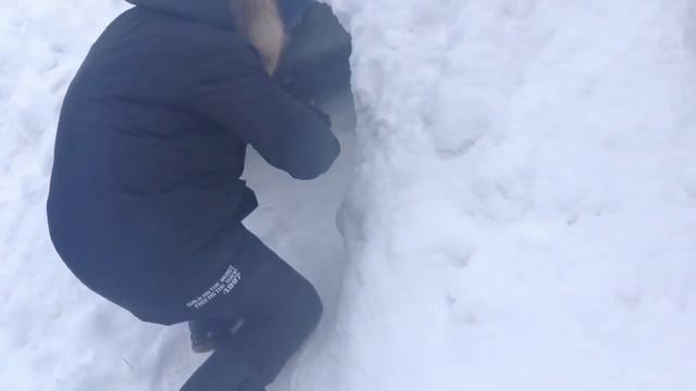 СТРОИМ ДОМ ИЗ СНЕГА -Snow Home- смотреть онлайн
