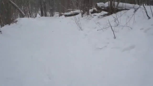 Город Московский.Валуевский лесопарк. Февраль 2016 смотреть онлайн