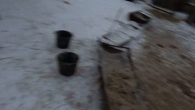 Дрессированные быки смотреть онлайн