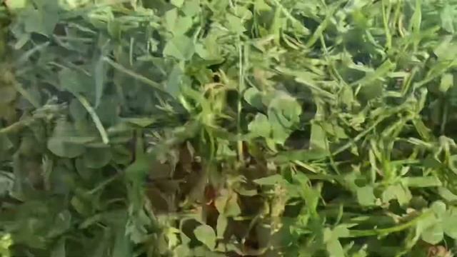 Earfun Air Pro 2, Samsung Galaxy Buds Pro ve Sennheiser CXTrue Wireless karşılaştırması смотреть онлайн