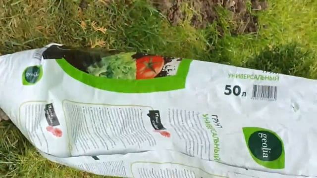 Как правильно разместить высокорослое многолетнее растение в своём саду. смотреть онлайн