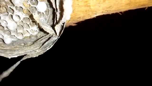 Домовладение