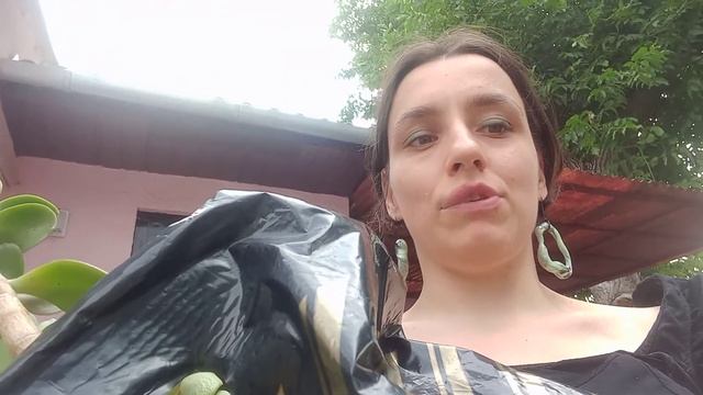 Еду на встречу с Олей! Взяла в подарок домашний свой цветок! смотреть онлайн