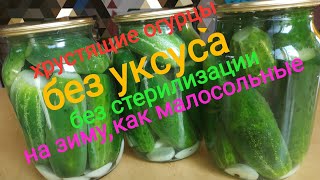 БЕЗ УКСУСА/БЕЗ СТЕРИЛИЗАЦИИ/ХРУСТЯЩИЕ Огурцы на зиму, как малосольные/Солёные огурцы смотреть онлайн