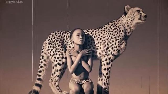 Чему мы можем научиться у животных смотреть онлайн