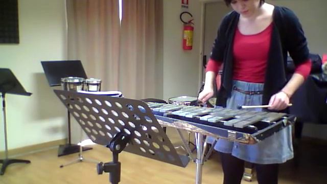 W.A.Mozart - The magic flute (glockenspiel) IOANA VALEANU смотреть онлайн