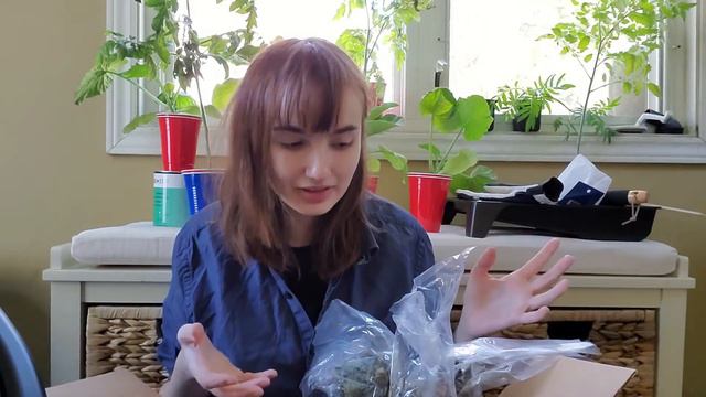 Unbox Some Plants With Me! - T&T Seeds Review смотреть онлайн