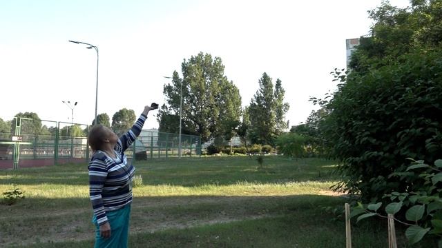 Черный стриж полностью выздоровление отпускаю на волю стрижа смотреть онлайн