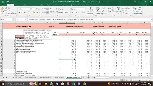 Online Pet Store Excel Financial Model смотреть онлайн
