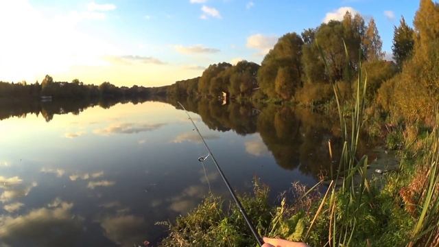 Нападение диких Окуней. Рыбалка на дикой Реке. смотреть онлайн