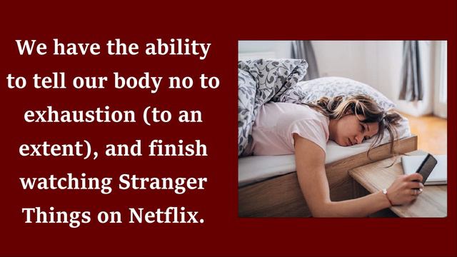 Interesting GK Facts | The Only Mammal That Can Delay Sleep | Simple GK | Facts About Sleep смотреть онлайн