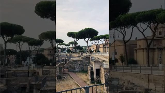 Утре, 12/09 Неделно Кафе от Форума на Траян/ РИМ на живо в 08:15 бг време #short смотреть онлайн