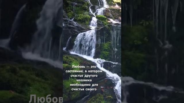 Секрет счастья #мудрость #цитаты #любовь #счастье #саморазвитие #отношения смотреть онлайн