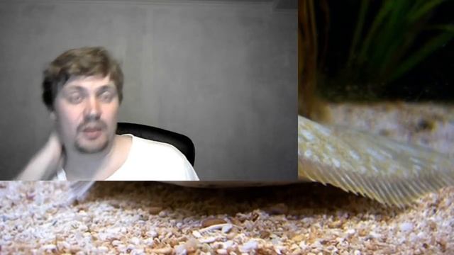 ?? #103 Будь это реальный мир, Бог был бы жестоким. книги Курс Чудес и Исчезновение Вселенной смотреть онлайн
