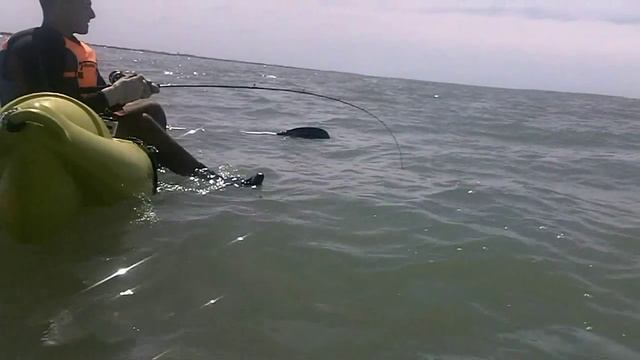 Kayak Fishing Argentina - Miramar Pesca en La 25 смотреть онлайн