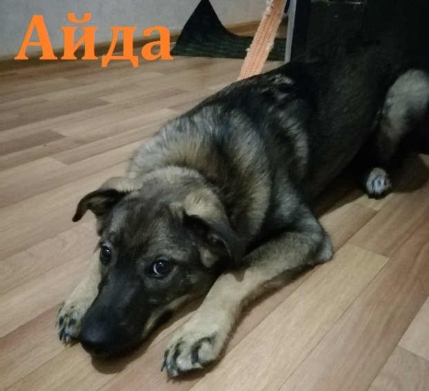 Добро