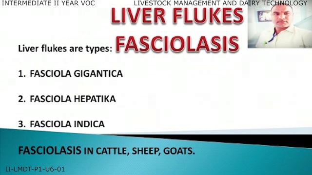 VOCATIONAL LIVESTOCK MANAGEMENT & DAIRY TECHNOLOGY 2ND YEAR P1 -U6-01- LIVESTOCK HEALTH MANAGEMENT смотреть онлайн