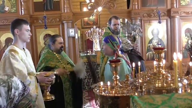 В храме - целование Креста и освящение Ваий ( вербы ) смотреть онлайн