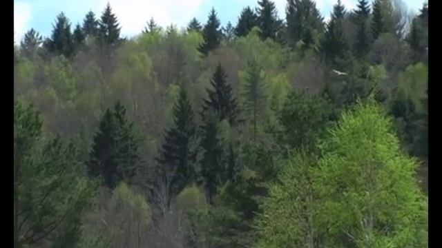 Продажа участков под крестьянское (фермерское) хозяйство, с. Ульяново смотреть онлайн