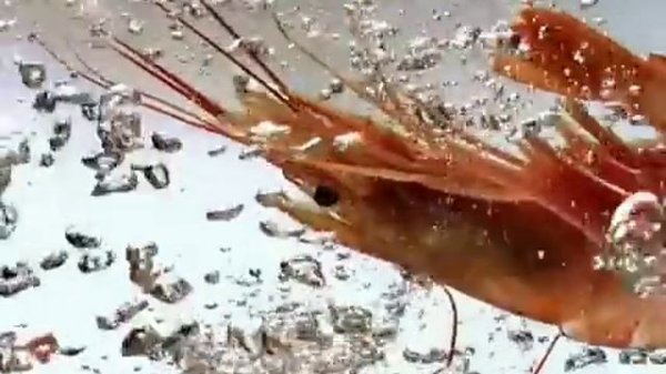 Barilla spaghetti commercial directed by Vittorio Sacco (P For Production)