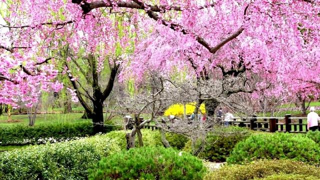 3 часа Лучшего релакса-Романтическое пианино-Спа-Терапия-Любовь смотреть онлайн