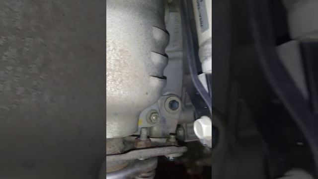 номер двигателя Honda n-wgn Custom смотреть онлайн