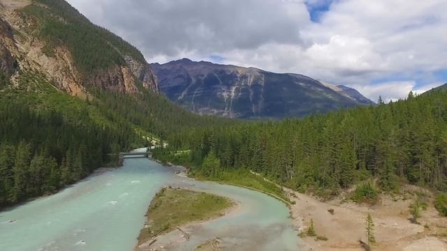 Дикий зверь пошел против природы, когда увидел в лесу одинокую 3х-летнюю девочку. То, что сделала..