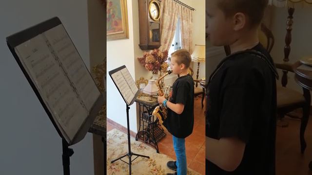 Wojtisax (9L) gra saxofon altowy BOB MINTZER '' BLUES 1'' смотреть онлайн