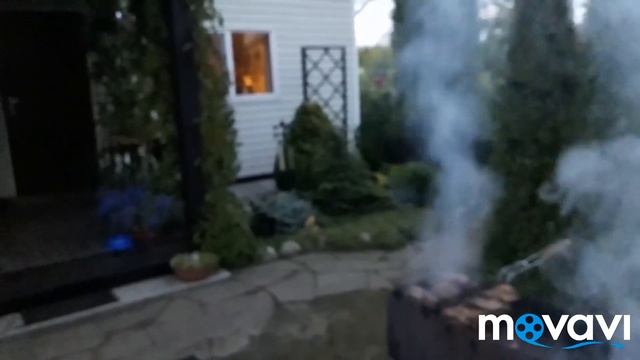 Один день из жизни дачника/Зачем мне мох из леса/Первые грибы/29.07.19 смотреть онлайн