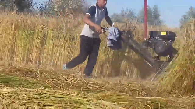 шоли урадиган жатка смотреть онлайн