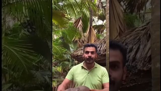 فاكهة عجيبه اسمها كوكو دمير نوع من انواع جوز الهند смотреть онлайн