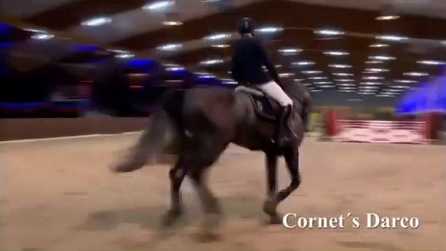 Cornet’s Darco ex. Chilli boy Maxx by Cornet Obolensky - Dark Chocolate Maxx (Darco x Chin Chin) смотреть онлайн