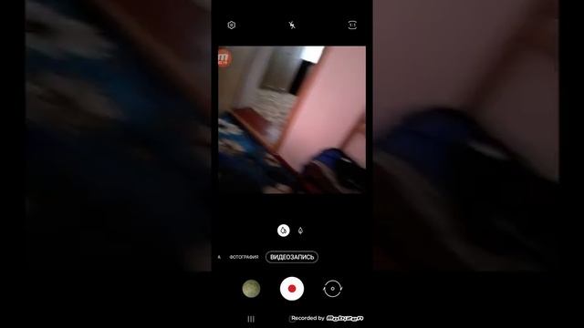 как??? ухаживать за мышкой песчянкой смотреть онлайн