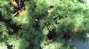 отель Демерджи Алушта Demerdji Hotel Alushta Crimea прогулка по те