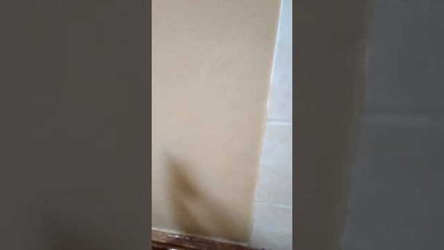 Новополоцк городская больница смотреть онлайн