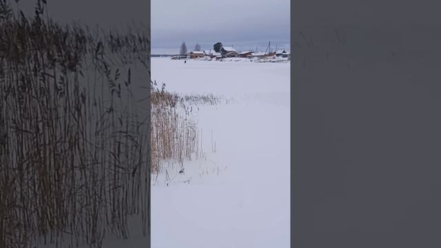 Зима в Карелии, отдых и зимняя рыбалка. Вид с берега базы отдыха в Карелии "У Плотника" 01.12.2021. смотреть онлайн