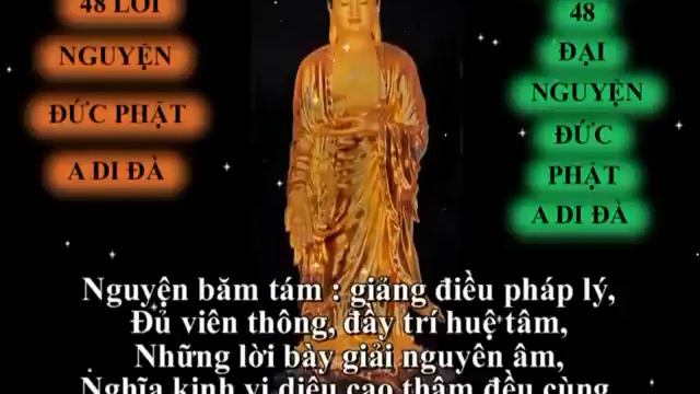 48 Đại Nguyện Cửa Đức Phật A Di Đà TT Thích Trí Thoát Trì Tụng